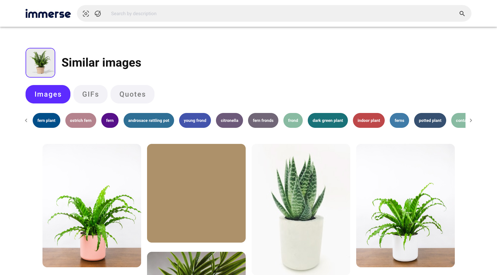 Screenshot of Reserve image search results from immerse.zone