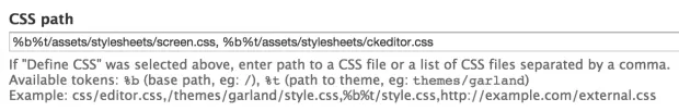 Define css in WYSIWYG