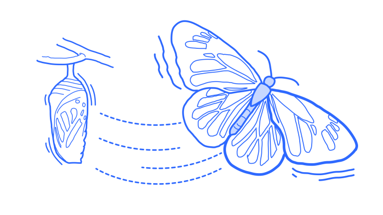 Illustration of a cocoon and butterfly 