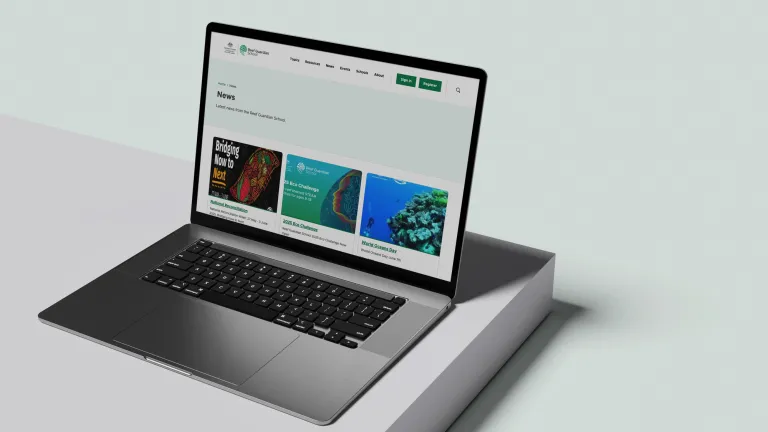 RKS - News page on Macbook