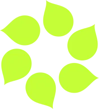 DrupalSouth Wellington 2026 Logo