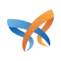 Morpht butterfly